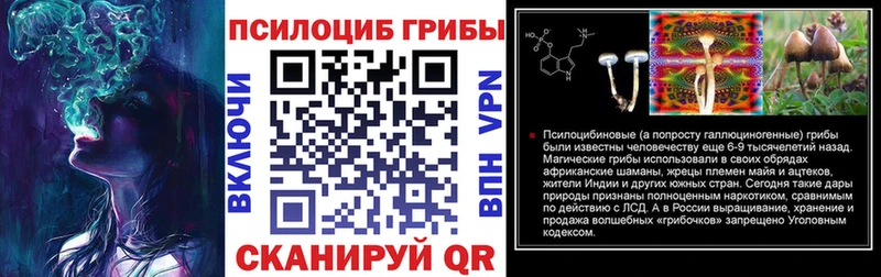 хочу   Новый Оскол  Псилоцибиновые грибы прущие грибы 